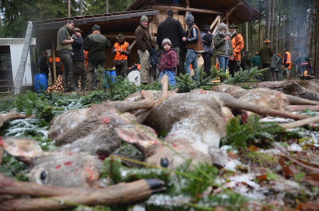 Leben und Tod liegen bei der Jagd ganz dicht beieinander.  | Foto: Andr Hnig