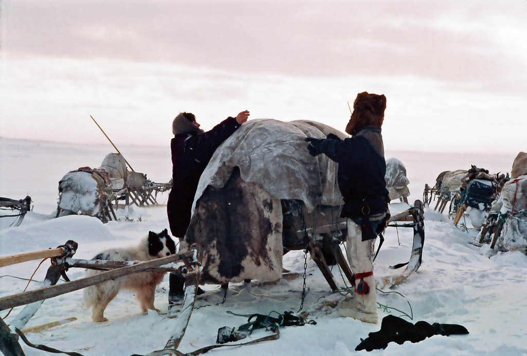 NomadenKinder Zurück in die Tundra Panorama Badische Zeitung