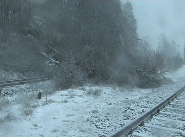 Umgestrzte Bume erschweren den Verkehr auf der Hllentalbahn.  | Foto: Kamera24.TV