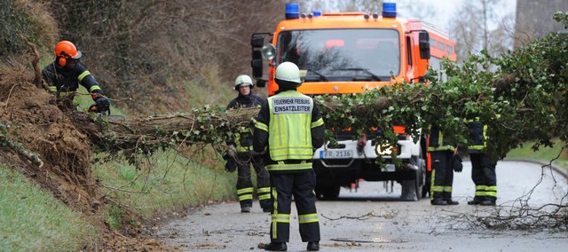 Feuerwehrmnner entfernen in Freiburg einen Baum, der ber der Strae liegt.  | Foto: dpa