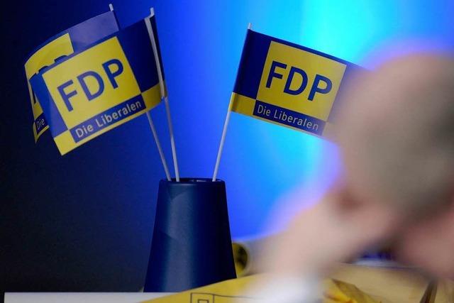 FDP-Landesparteitag in Stuttgart: 