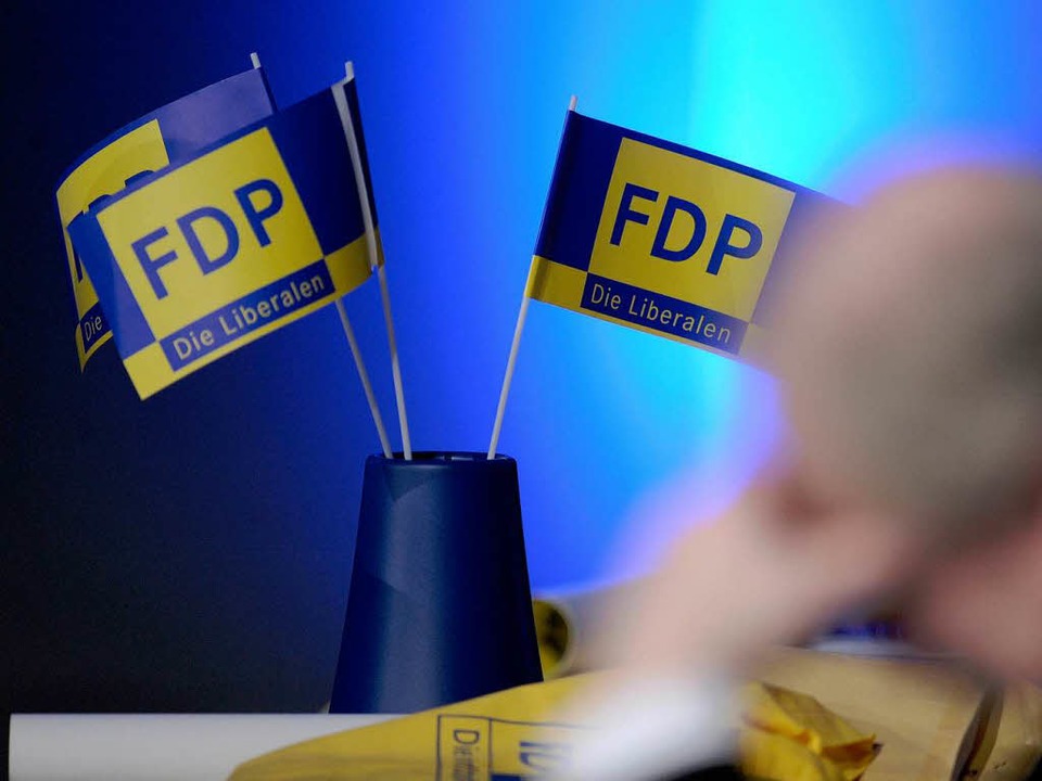 Ist die FDP noch zu retten?  | Foto: dapd