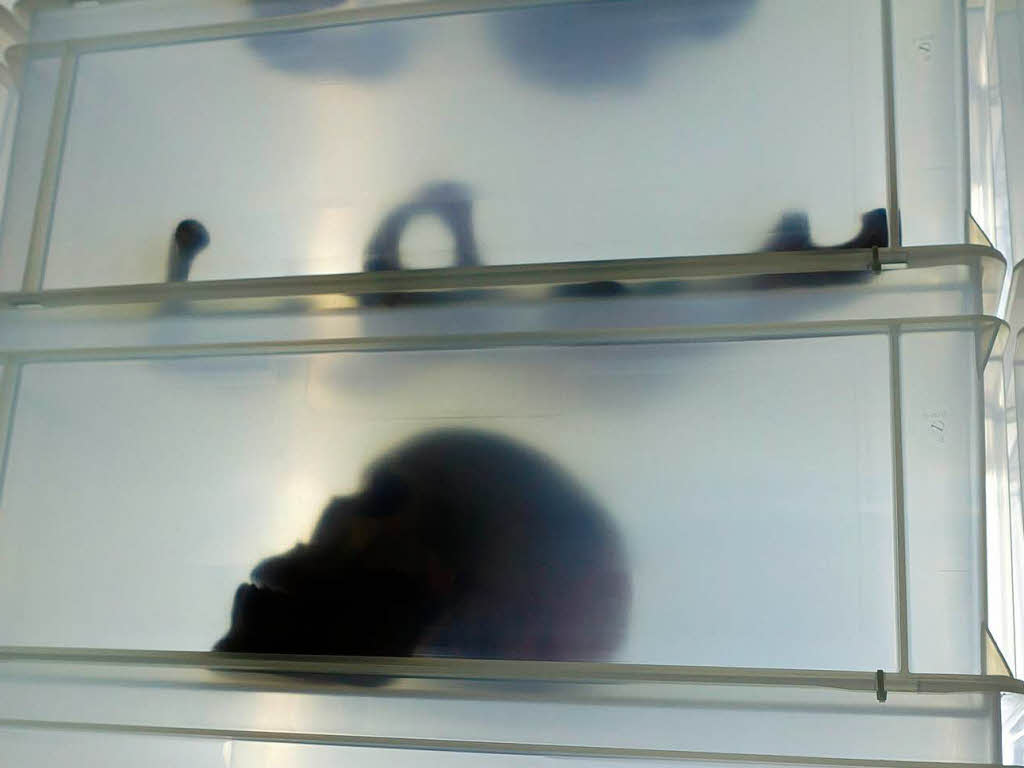 In Knochen stecken Geschichten<?ZE?>
<?ZE?>
In Knochen stecken Geschichten<?ZE?>
<?ZE?>