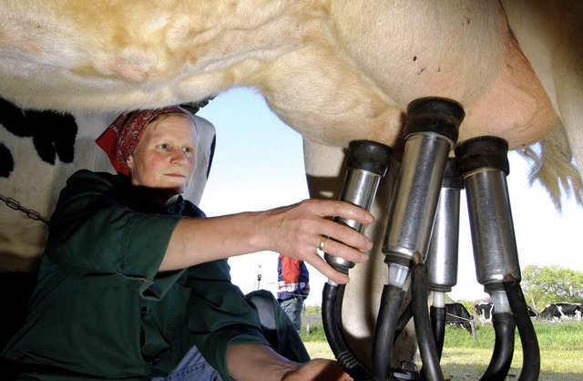 Melken gehrt zum Alltag einer Landwirtin.    | Foto: DPA/Werner