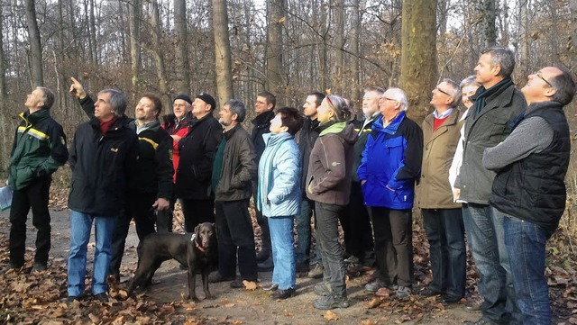 Der Breisacher Gemeinderat informierte sich ber den Zustand des Stadtwaldes.  | Foto: privat