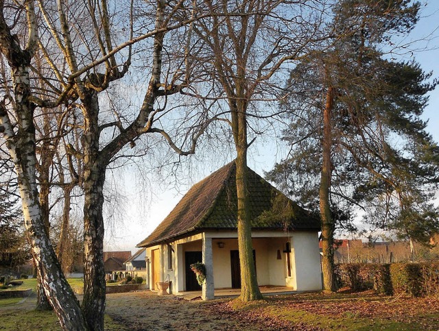 Diese Bume an der Aussegnungshalle in...ann gepflanzt werden, ist noch offen.   | Foto: Langelott