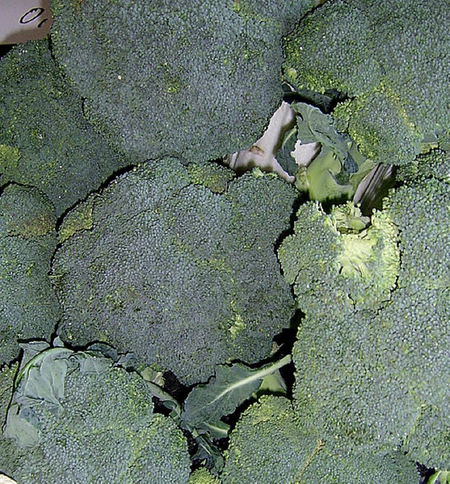 Broccoli   | Foto: Wolfgang Meyer