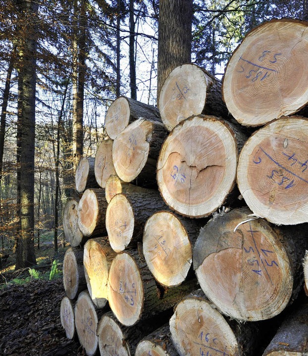 Der Wald ist eine wichtige Energiequelle Südwest