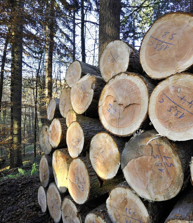 Wertvolles aus dem Wald &#8211; gefllte Bume.   | Foto: Michael bamberger