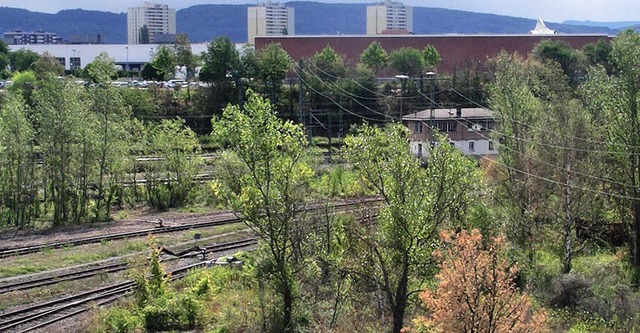 Die Gleisgruppe 0 liegt seit Jahren br...ngt die Stadt auf eine Entscheidung.   | Foto: Frey