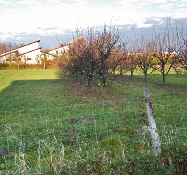 &#8222;Badenovakonzept&#8220; fhrt nu...erhandlungen frs Baugebiet im Ifang.   | Foto: Langelott