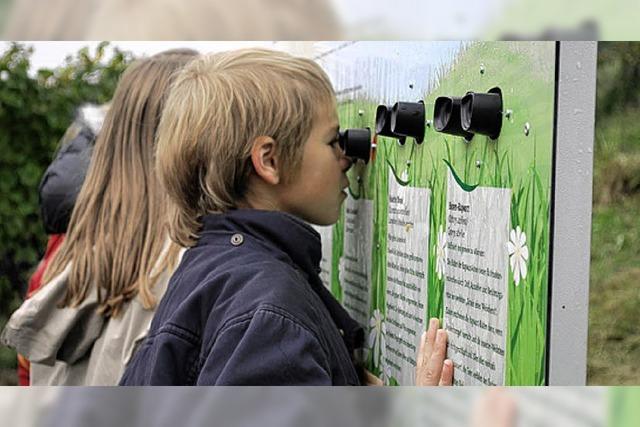 RHEINGEFLÜSTER: Naturzentrum leistet wertvolle Arbeit