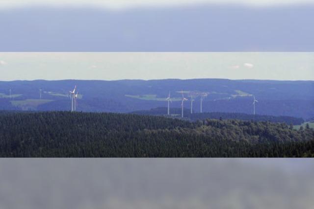 Energie aus der Kraft des Windes