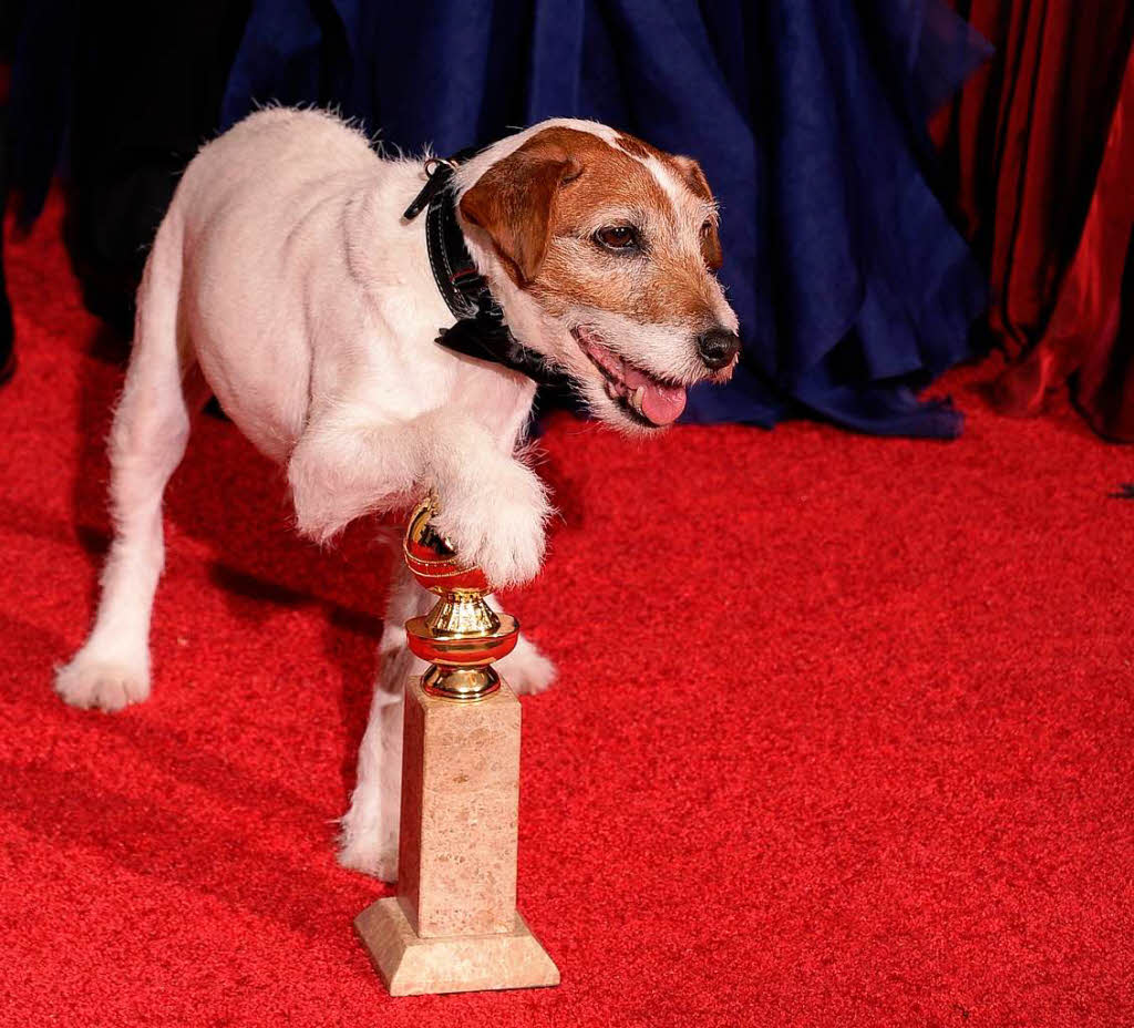 Uggie der  Jack Russell Terrier wurde durch seine Filmtricks in „The Artist“ zu Hollywoods Top-Dog.