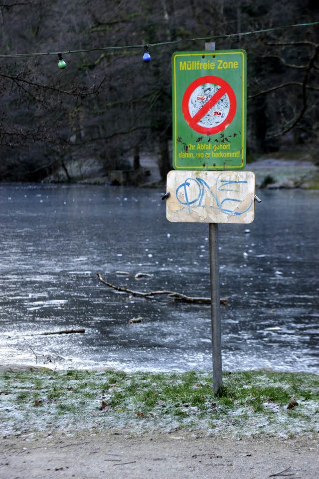 Eine dnne Eisschicht berzieht den Wa... das Garten- und Tiefbauamt schneller.  | Foto: Schneider