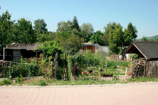 In dieser Kleingartenanlage am Ortsran...Btzingen hat sich die Tat abgespielt.  | Foto: Horst David