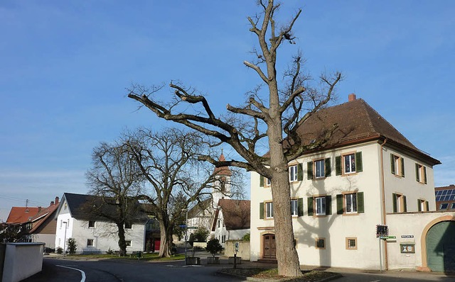 Der Platz am Ende der Kirchstrae vor ...ther-Eiche programmiert sein drften.   | Foto: Karlernst Lauffer