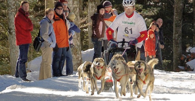 Die Gemeinde Todtmoos will ihren Ruf a...s Schlittenhunde-Rennsports festigen.   | Foto: Archivfoto: Stefan Sahli