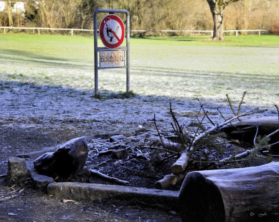 Sternwaldwiese: Nicht nur die mit Stei...ten Grillstellen werden gerne genutzt.  | Foto: Ingo Schneider