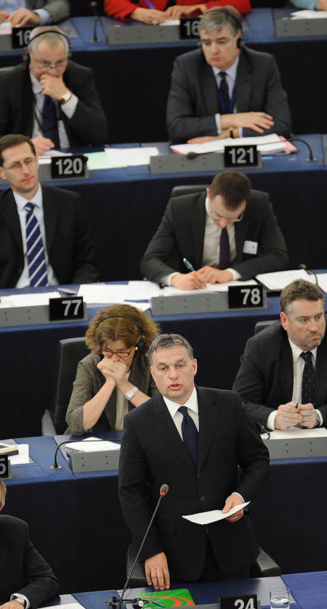 &#8222;Diese Probleme knnen schnell u...rne) vor dem Straburger EU-Parlament.  | Foto: dpa