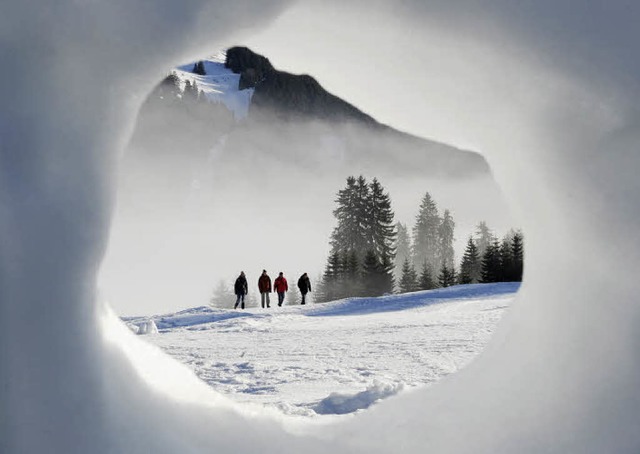 Guck mal! Durchblick mit Einblick in die Welt des Schnees.   | Foto: dapd
