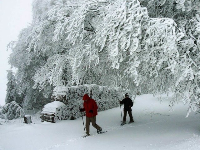 Schneeschuhwanderer knnen guten Gewis...egen bleiben und steile Hnge meiden.   | Foto: Rolf Haid/dpa