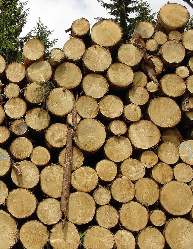 1300 Festmeter Holz sollen in diesem J...einde Hinterzarten geschlagen werden.   | Foto: DPA