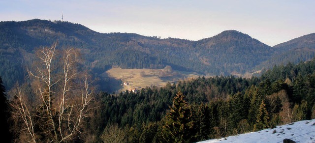 Eigentlich unstrittig ist die Windkraf... Standorte wollen viele nichts wissen.  | Foto: Rolf-Dieter kanmacher