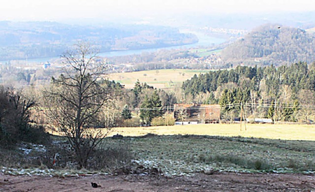 Ein Hingucker &#8211; sogar im winterlichen Morgendunst  | Foto: schmidt