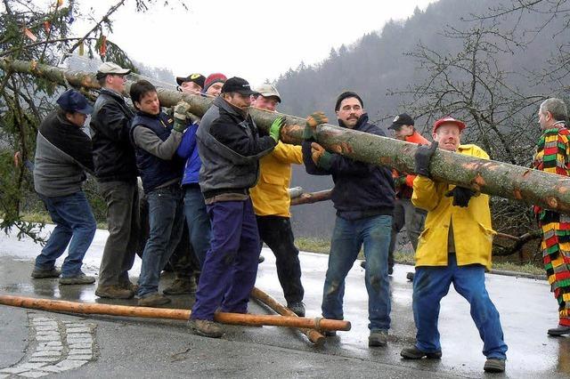 In Eberfingen steht bereits der Narrenbaum