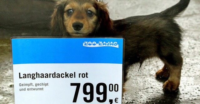 Hunde im Schaufenster gab es in Deutschland bisher nicht.  | Foto: dpa
