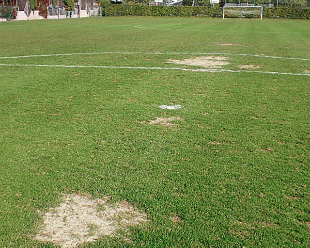 Lcher im Rasen, die das Stadion II im...em Kunstrasenplatz  nicht mehr geben.   | Foto: PRIVAT