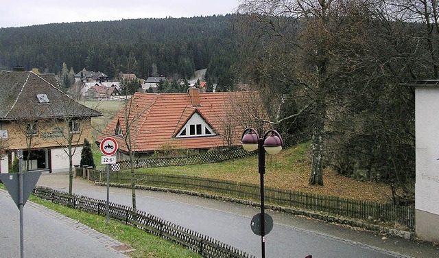 Auf der Freiflche  an der Dresselbach...lex mit 32 Ferienwohnungen entstehen.   | Foto: Roswitha Klaiber