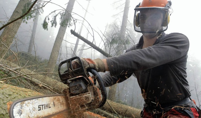 Im Wald gilt der Grundsatz der Nachhal...hr Holz geschlagen werden als wchst.   | Foto: ddp