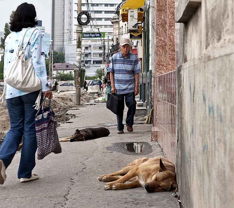 Nicht alle der gesch�tzt 50000 Stra�en...den, die im Ausgehviertel schlummern.   | Foto: D.Gester (n-ost)