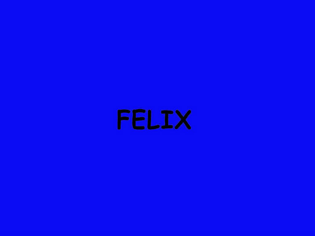 Felix rutscht von Platz 2 auf Platz 9 Felix rutscht von Platz 2 auf Platz 9