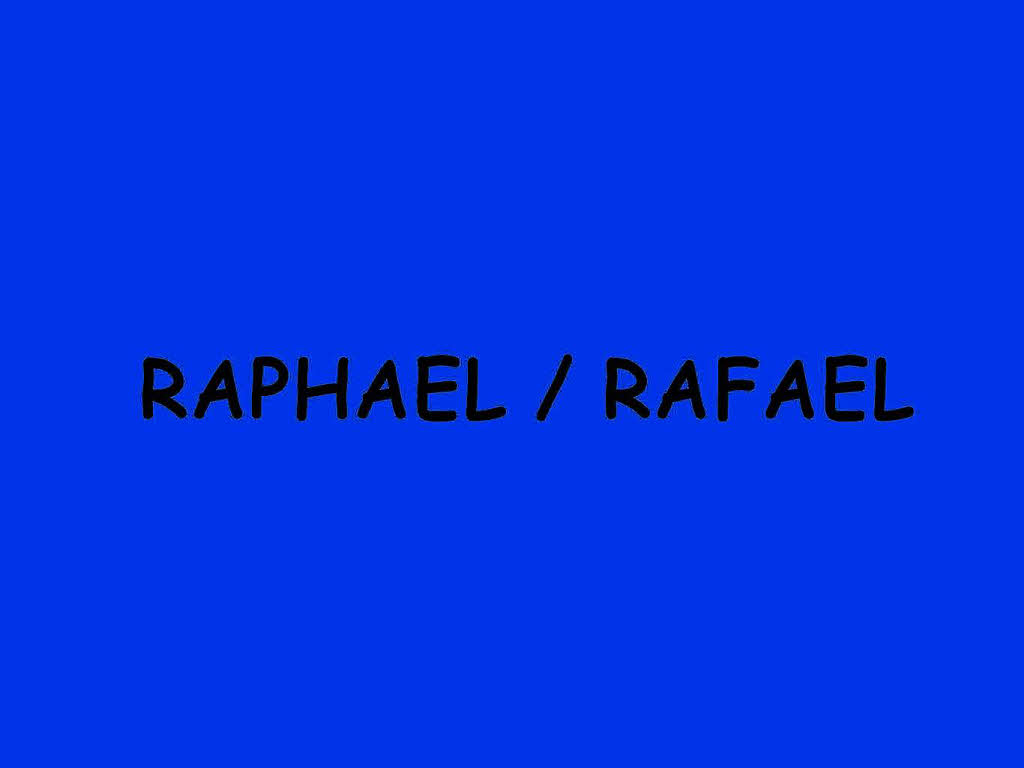 2011 eine Position gut gemacht: Raphael und Rafael auf Platz 13 2011 eine Position gut gemacht: Raphael und Rafael auf Platz 13