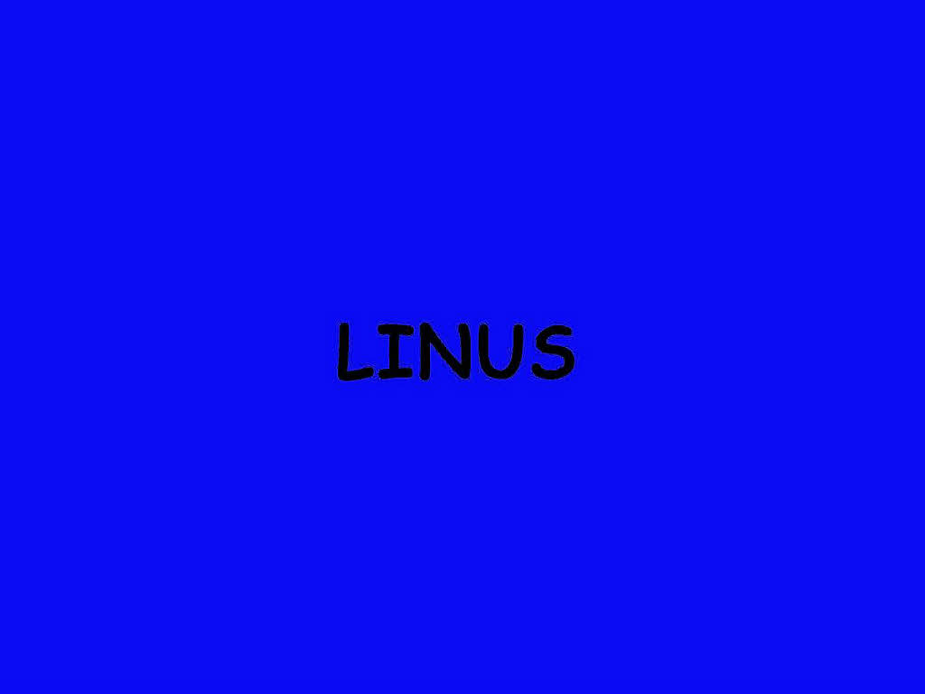 ...Neueinsteiger Linus. ...Neueinsteiger Linus.