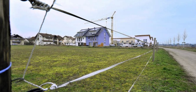 An seinem nordstlichen Rand wchst Mu...ngs gemchlicher als zunchst gedacht.  | Foto: Michael Bamberger