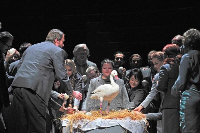 Lebender Schwan fliegt bei Wagner-Oper 