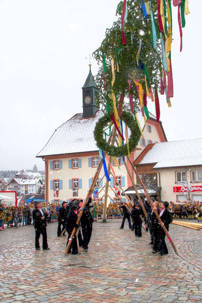 Die Zimmermannszunft und die Lenzkircher Dengele stellten den Narrenbaum