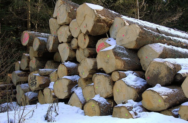 Im Gemeindewald Feldberg sollen 3000 F...er Gewinn  soll 100000 Euro betragen.   | Foto: Ralf Morys