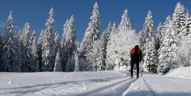 Wintertraum in willkommener Eisesklte...die Langlaufspuren im Hochschwarzwald.  | Foto: bachmann