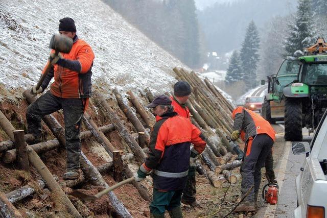 Schutz vor Steinschlag und Hangrutsch