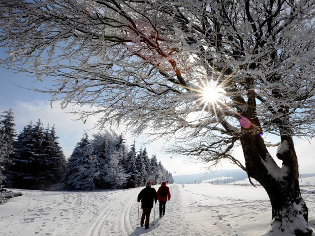 Der Winter verzaubert den Schwarzwald in eine Mrchenlandschaft.  | Foto: dapd