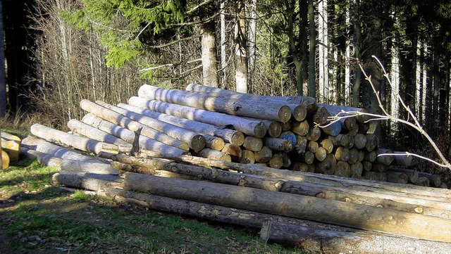 Sehr groen Erfolg hatte die Gemeinde Husern 2011 mit dem Verkauf ihres Holzes.  | Foto: PDH