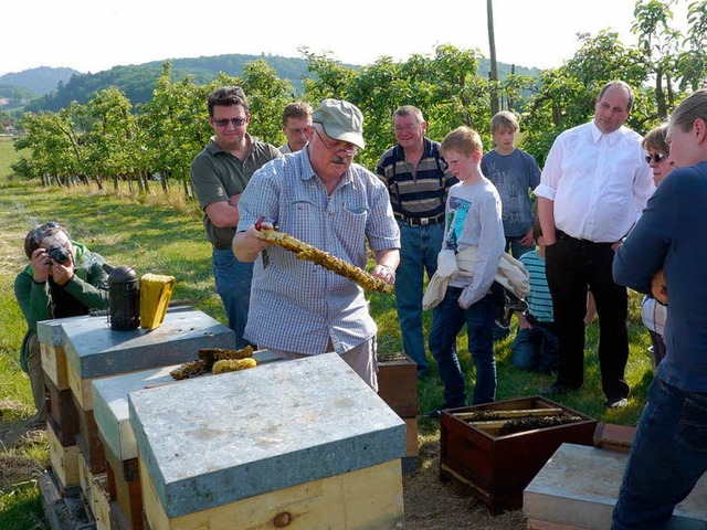 Armin Sprgin, Fachberater fr Imkerei... dass Honigbienen ganz friedlich sind.  | Foto: J. Schwenkel