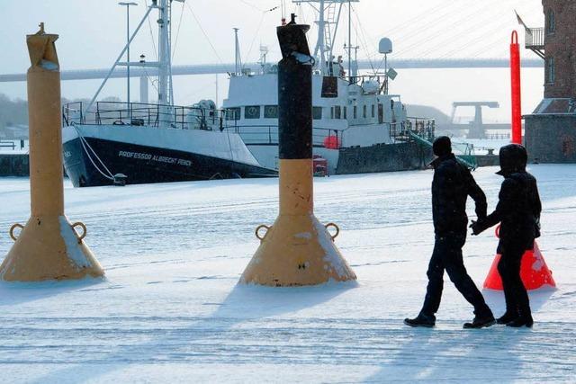 Wie elektronische Gerte den Frost berstehen