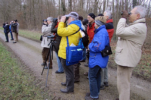 Beobachtung von Wasservgeln am Rhein.  | Foto: NABZ