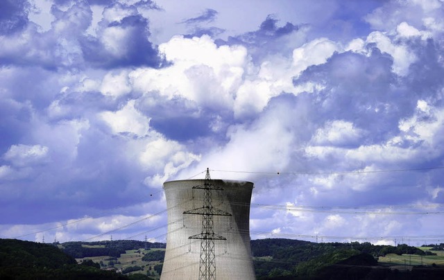 Das Khlwasser des Atomkraftwerkes Leibstadt ist mit Legionellen verunreinigt.  | Foto: AFP